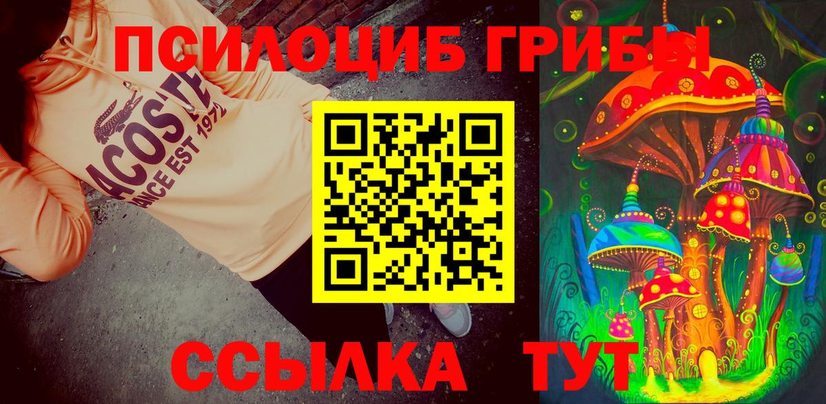 Галлюциногенные грибы прущие грибы Славгород