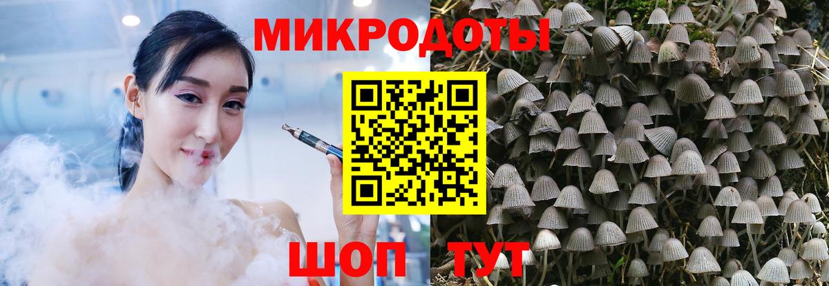 Славгород  где найти наркотики  Вход с VPN  Галлюциногенные грибы мицелий 